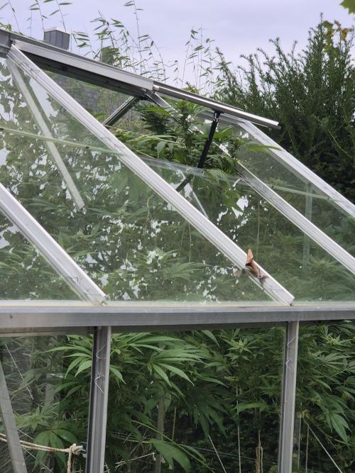 Breaking the ICE First Photo Outdoor run. Week 20