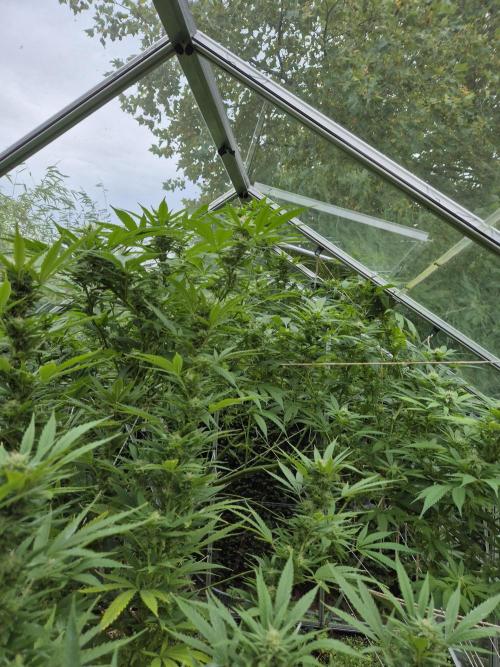 Breaking the ICE First Photo Outdoor run. Week 20