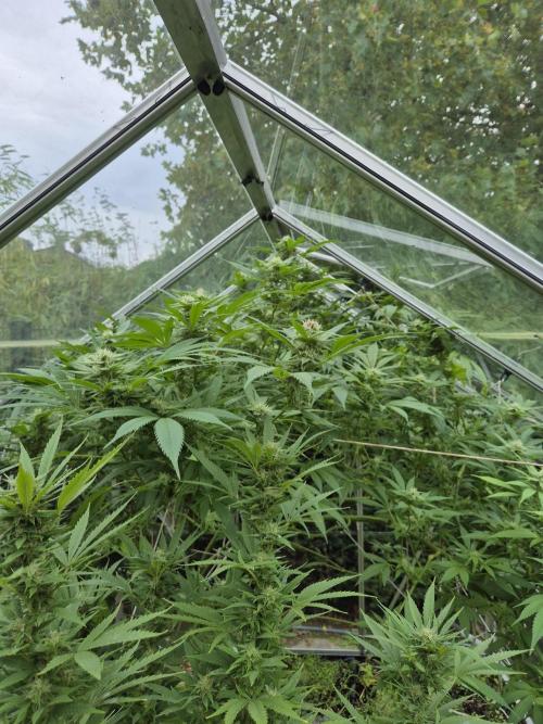 Breaking the ICE First Photo Outdoor run. Week 20