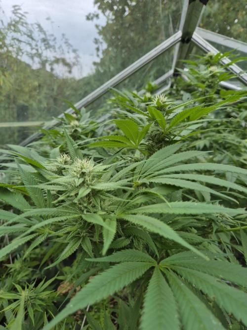 Breaking the ICE First Photo Outdoor run. Week 20