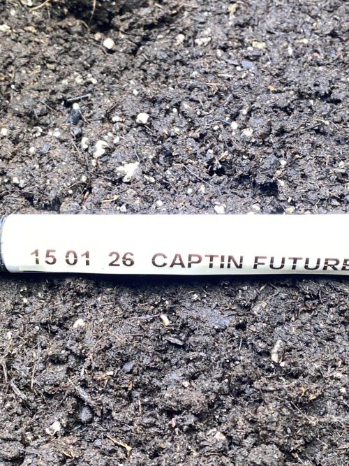 EPICC/CAPTAIN/RUNTZ/FirstTentGrow. Week 0