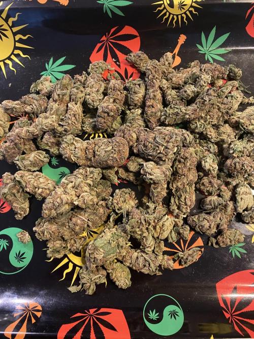 EPICC/CAPTAIN/RUNTZ/FirstTentGrow. Week 14 - Runtz #1
