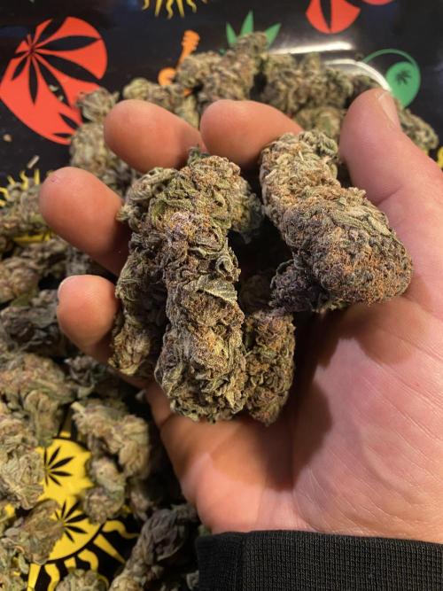 EPICC/CAPTAIN/RUNTZ/FirstTentGrow. Week 14 - Runtz #1 