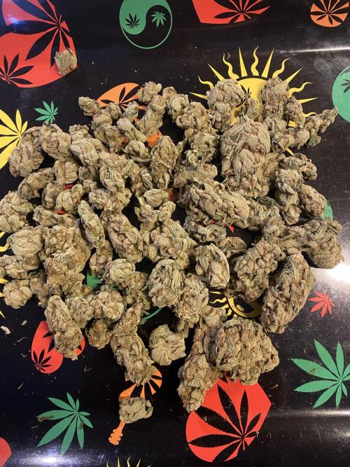 EPICC/CAPTAIN/RUNTZ/FirstTentGrow. Week 14 - Runtz #2 