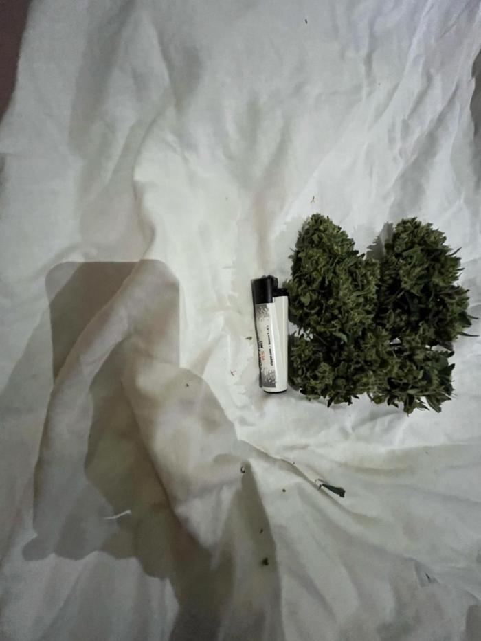Mix Grow Outdoor. Week 7