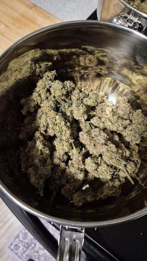 RDWC test run - Afghani #1. Week 19