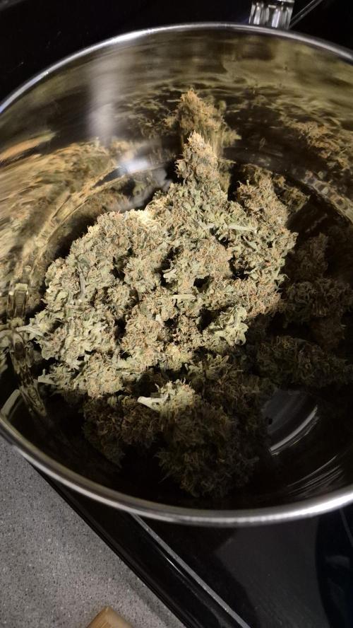 RDWC test run - Afghani #1. Week 19