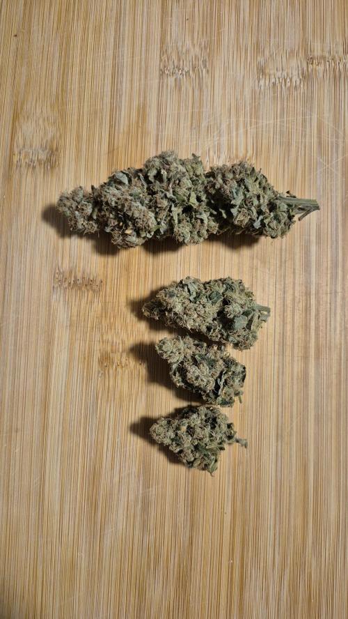 RDWC test run - Afghani #1. Week 19