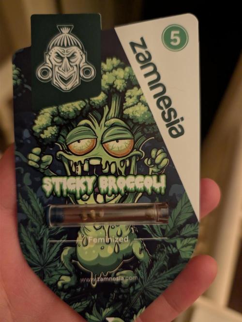 Sticky broccoli. Week 0