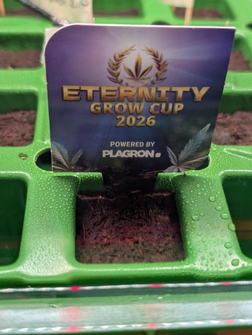 Eternity grow cup 2026. Week 0