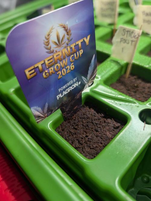 Eternity grow cup 2026. Week 0