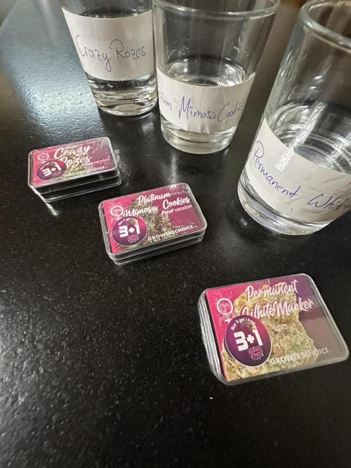 Crazy Platinum Marker. Week 0