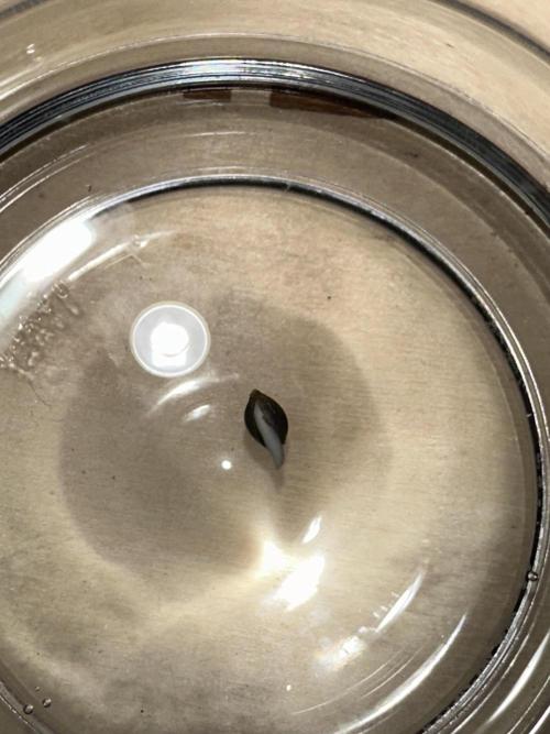 Crazy Platinum Marker. Week 0