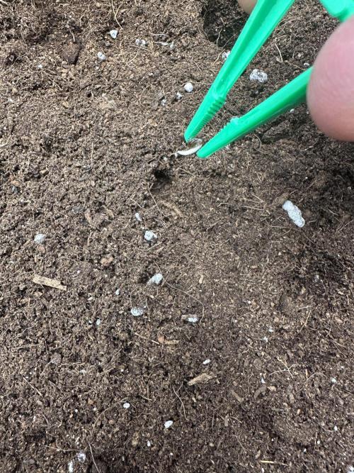 Crazy Platinum Marker. Week 0