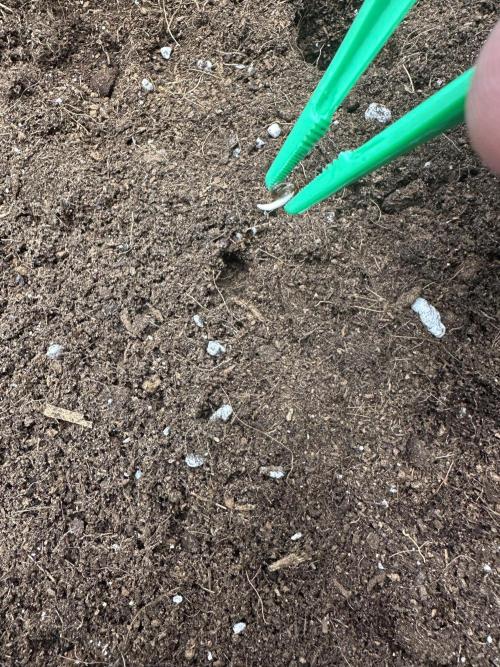 Crazy Platinum Marker. Week 0