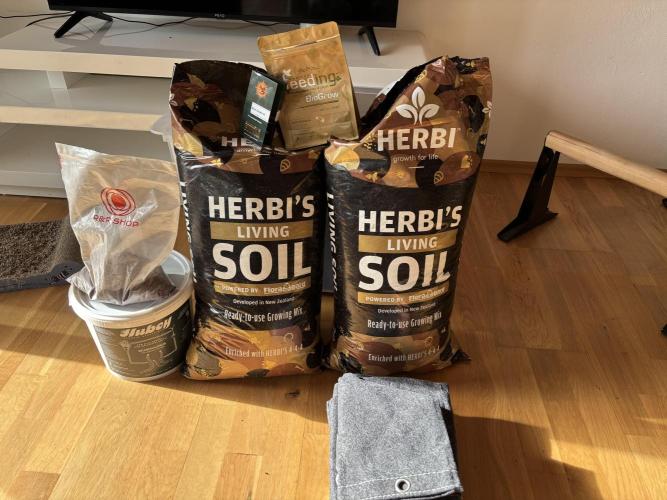 Blue Gelato 41. Week 0