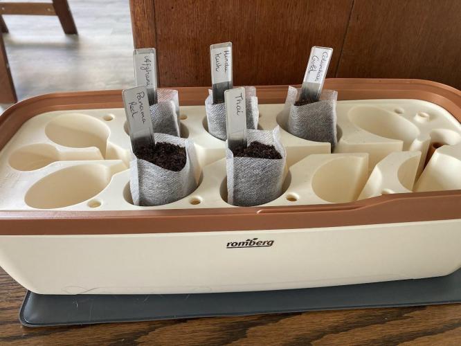 Zamnesia Landrace - Hindu Kush indoor. Week 0 - 5 seeds of the Landrace Pack in the Romberg propagator with a heating mat