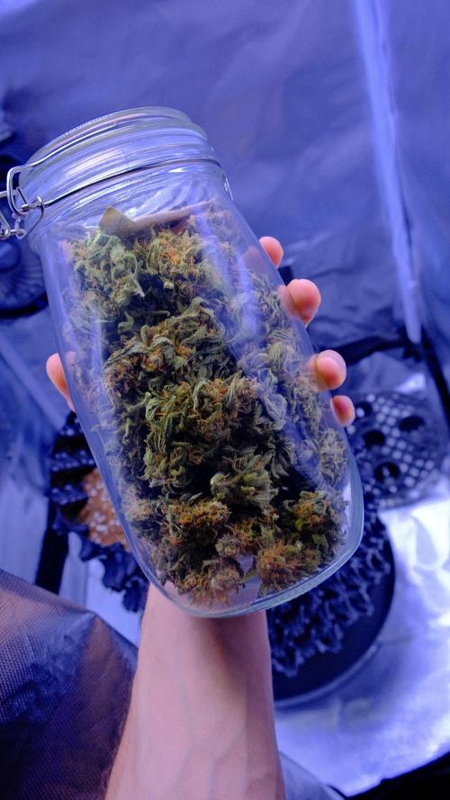 🍓🍊🍋 AMA ZKITTLEZ 💪😱🍌. Week 12