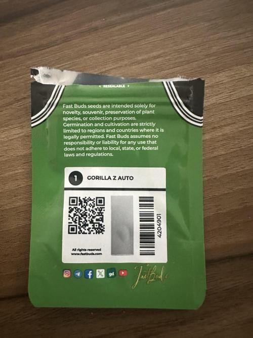 GORILLA Z Inside the tent. Week 0