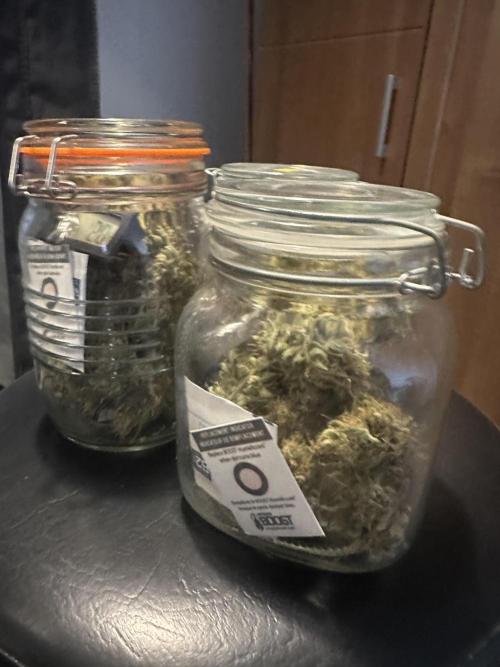 GORILLA ZKITTLEZ AUTO Tiana e Marcela. Week 13