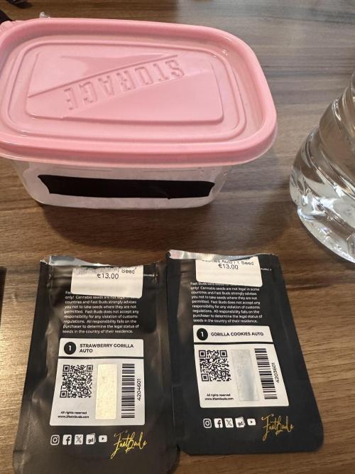 GORILLA COOKIES AUTO. Week 0