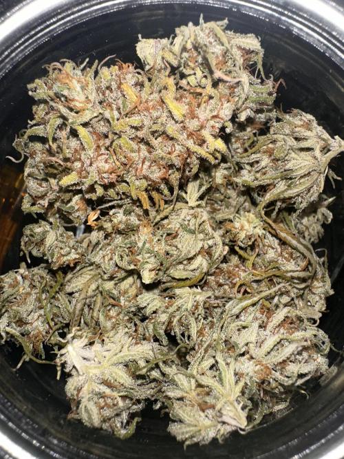 GORILLA COOKIES AUTO. Week 13