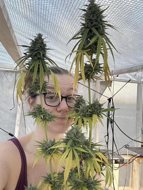 Sassy/Sparkle Farts. Week 18