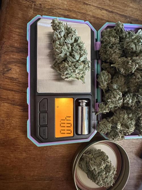 Sassy/Sparkle Farts. Week 18