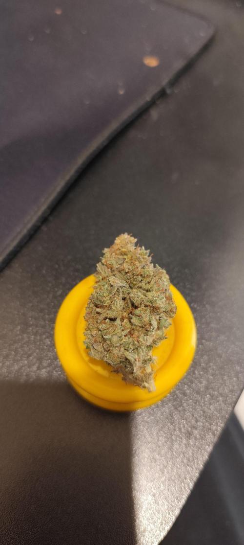 White label Runtz. Week 15