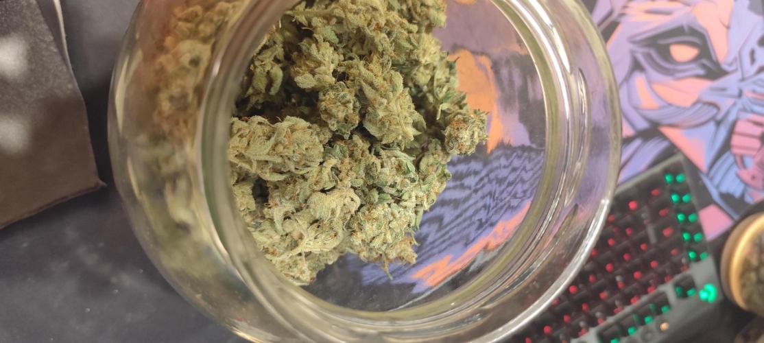 SuperBoof & Apolo Haze. Week 7