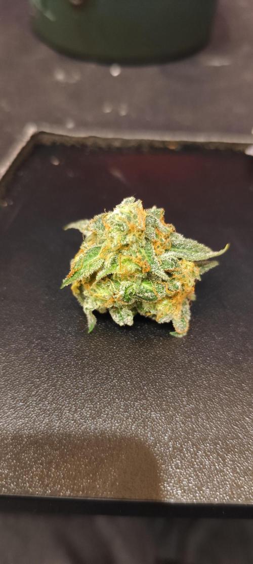 NL , LCC & PC. Week 6