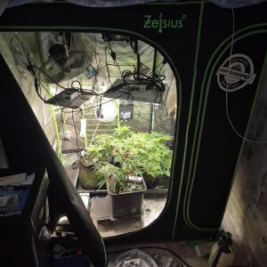 Comment by SpunkyTerps4200 photo #1