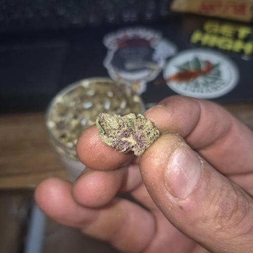 FF trop.cookies 420fastbuds. Week 14