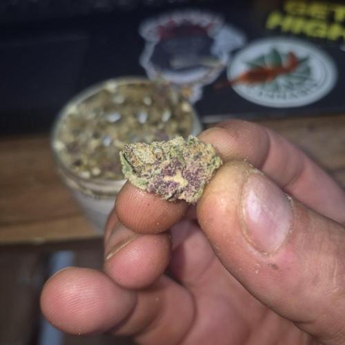 FF trop.cookies 420fastbuds. Week 14