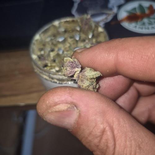FF trop.cookies 420fastbuds. Week 14