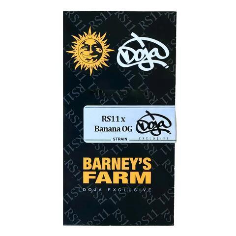 BANANABOW 🍌🌈. Week 0