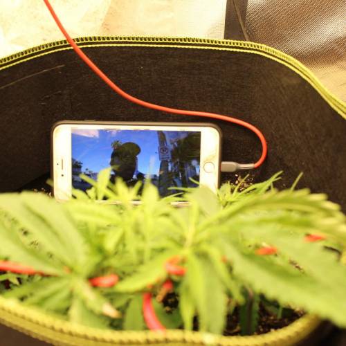 ไทยแลนด์ฟาร์ม. Week 5 - 30d