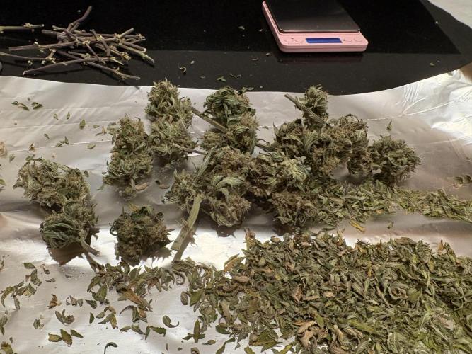 Bruce Banner Auto - Grow #3. Week 12