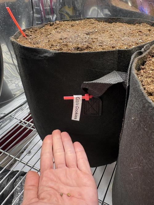 It’s a New Season. Week 0