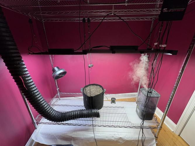 It’s a New Season. Week 0