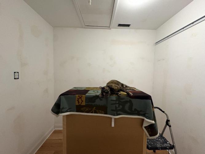 It’s a New Season. Week 0