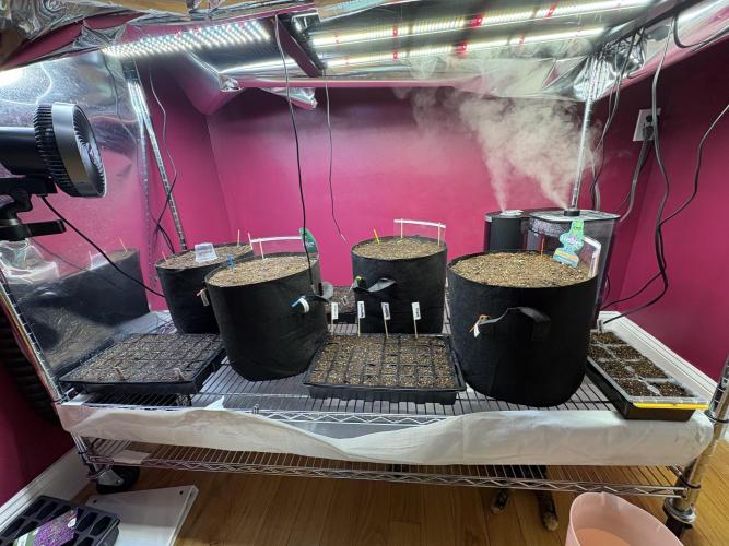 It’s a New Season. Week 1 - Planted a some flower seeds for the spring! 