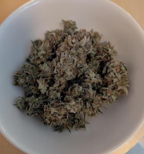 Sauvignon Blanc & Auto Skywalker Haze. Week 11 - 18.01.26