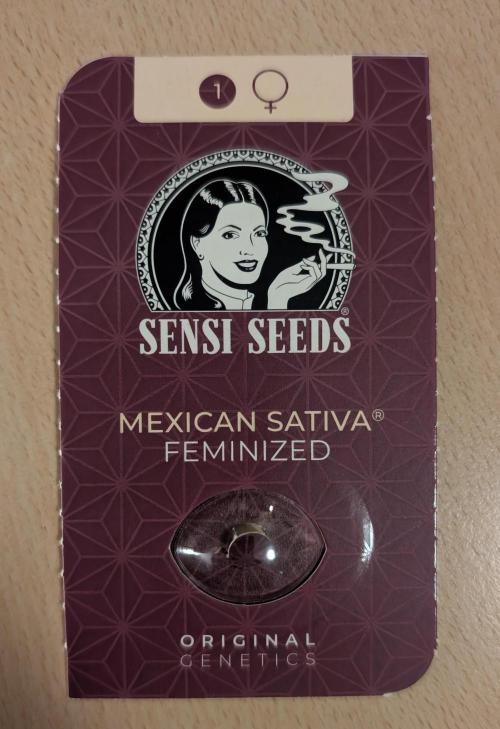 Mexican Sativa on 40x40cm. Week 0 - 20.02.2026