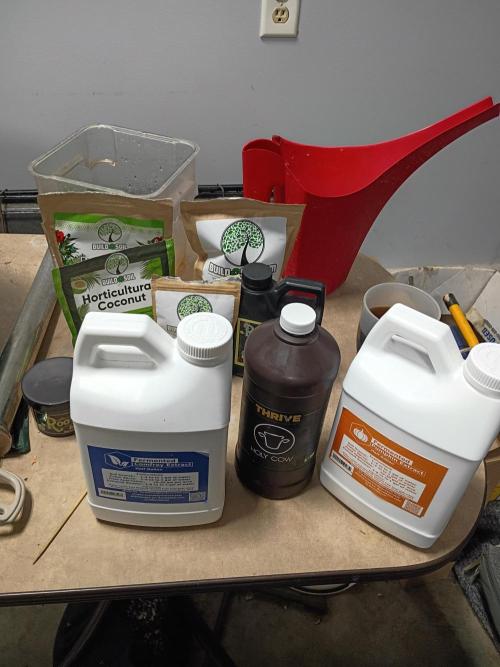 Wedding Cake Auto. Week 7