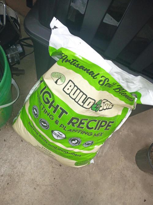 Paradise Pine(WTRxParadise Punch). Week 2