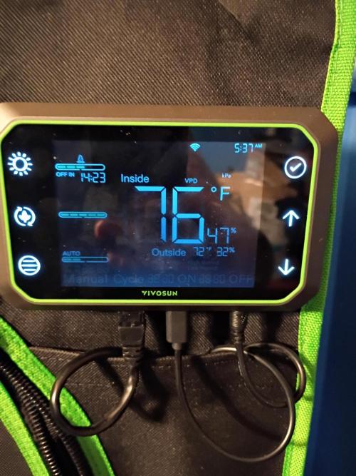 Wedding Cake Auto. Week 11