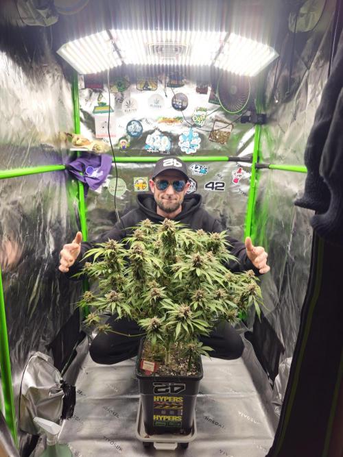 513Grow. Week 10