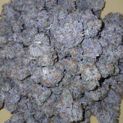 Limeade Oreoz. Week 11