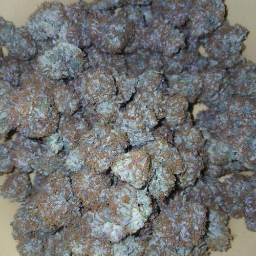 Sundae Thumper - Mephisto. Week 10